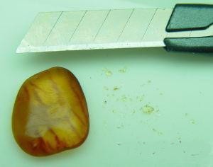 怎样用眼简易分辨琥珀真假