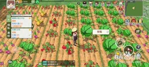 小森生活鸡饲料怎么获得