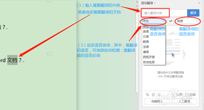 如何使用Word进行文字翻译