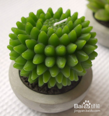 办公桌上放什么植物可以吸收辐射