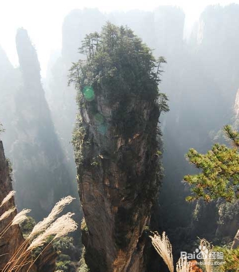 张家界自助游攻略网站
