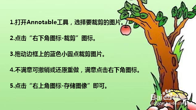 手机图片怎么裁剪大小 苹果手机图片怎么裁剪