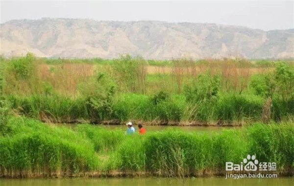 羡慕一号公路吗,陕西也将有这样的一条公路哦