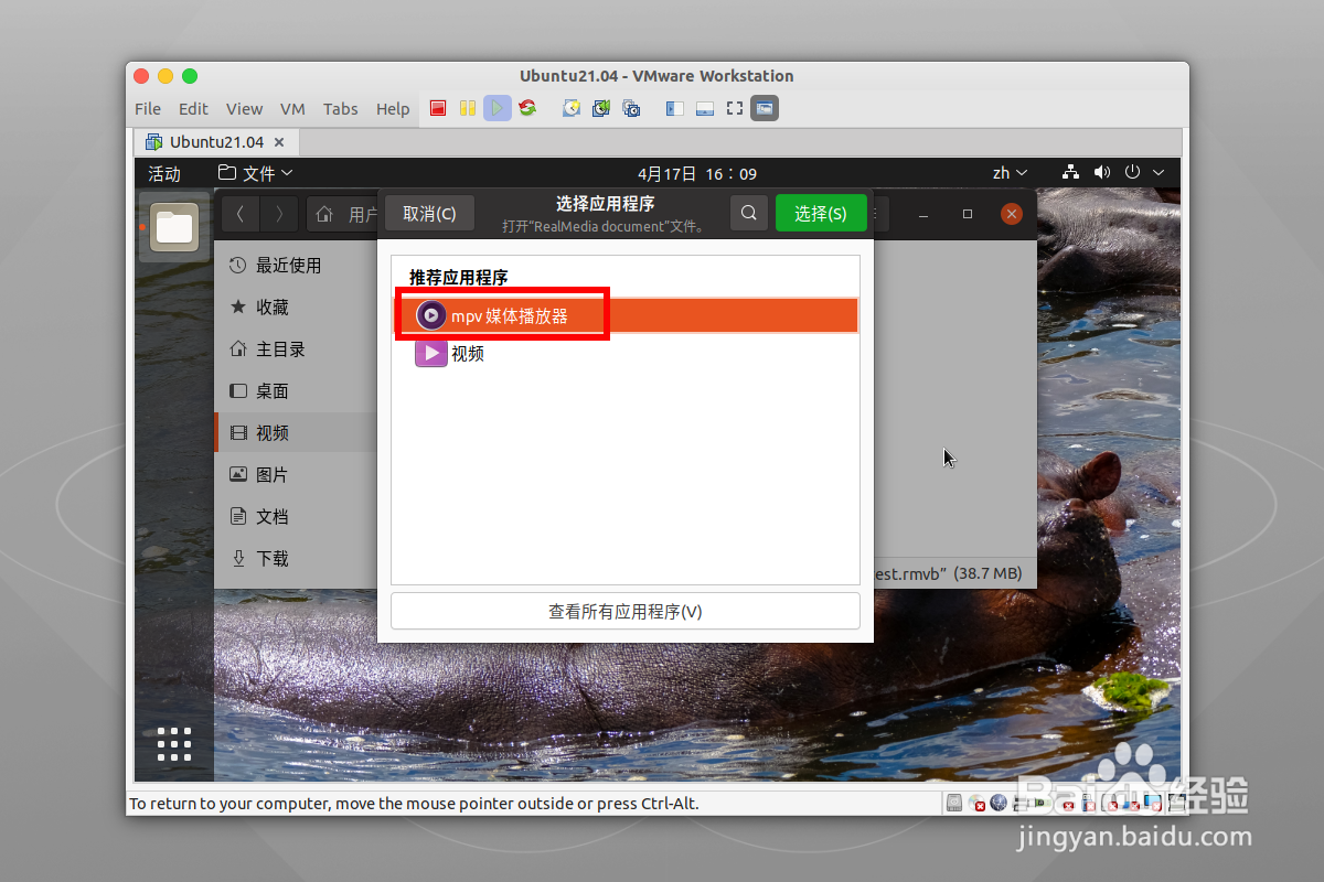 ubuntu21.04怎么播放rmvb视频