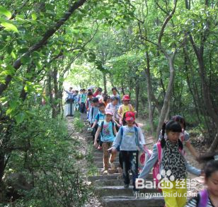 春游带孩子出行要注意些什么？