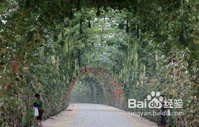 顺义有什么好玩的地方