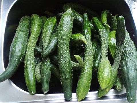 腌咸菜盐的比例是多少