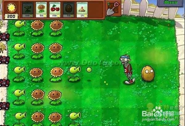 《植物大战僵尸》第一大关详细流程攻略