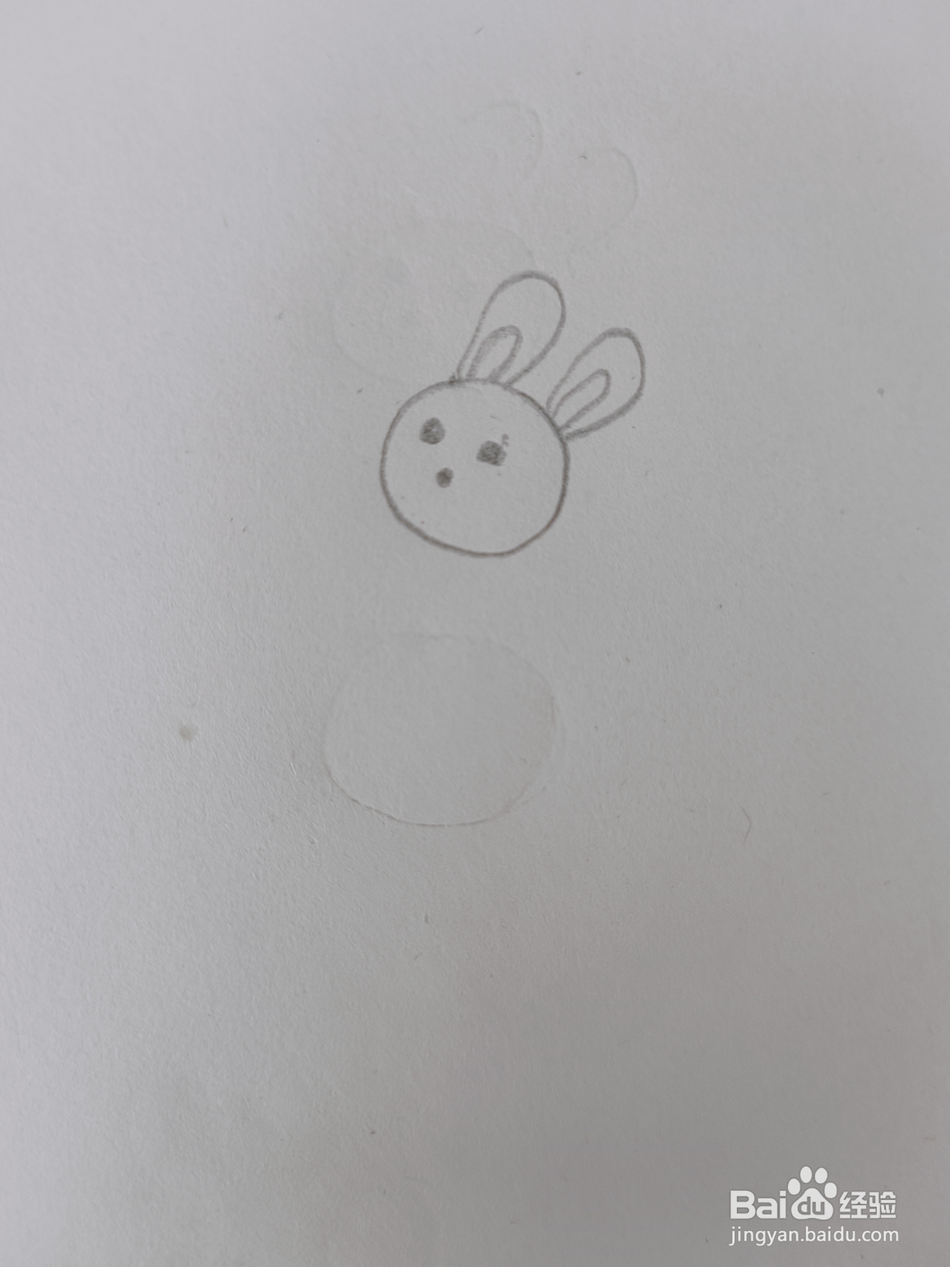 兔子的简单画法