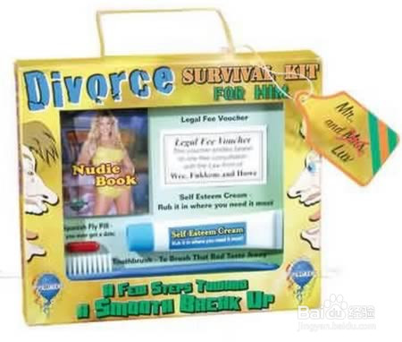 十大超级奇葩的离婚纪念物