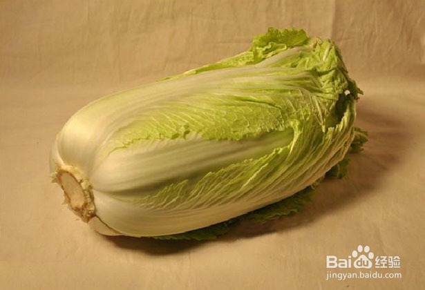素描白菜的画法(图文)