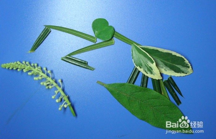 <b>植物拼装画之可爱的小螳螂</b>