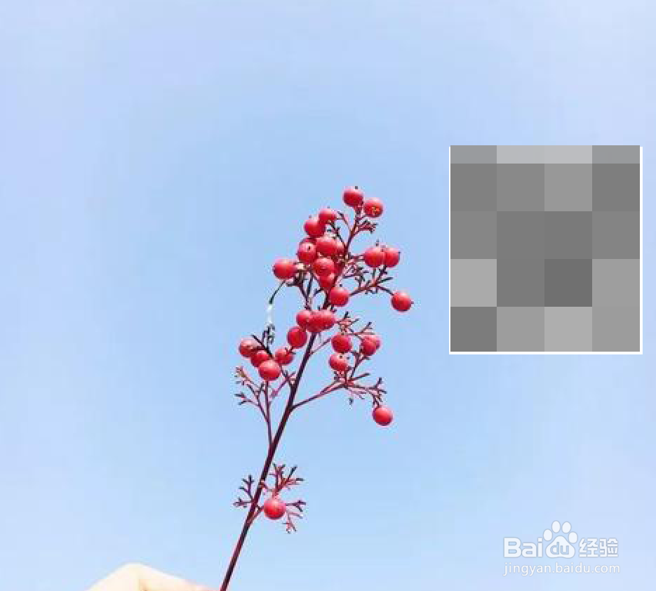 二维码怎么制作到图片上