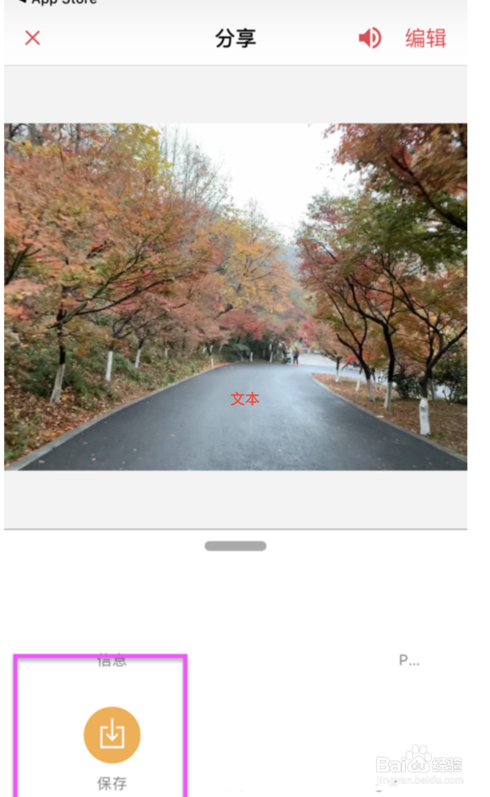 iPhone实况照片怎么转成视频