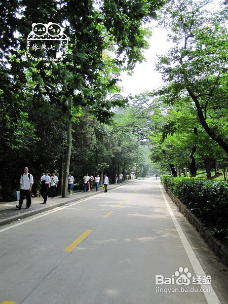 游.武汉——国立武汉大学