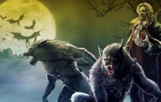 狼人杀的常见术语有哪些