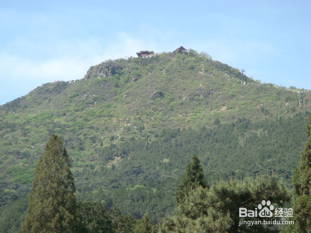 香山枫叶红满天