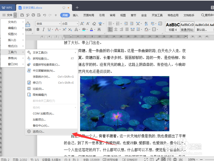 如何让Word里可以显示图片但不打印