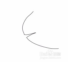 画树叶的简笔画