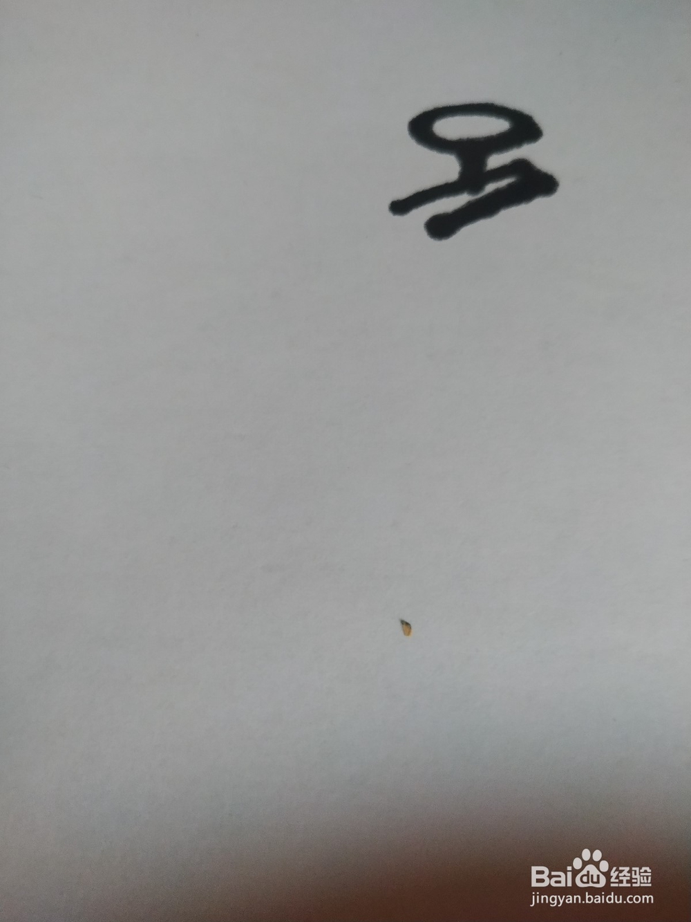 水壶的简笔画技法3