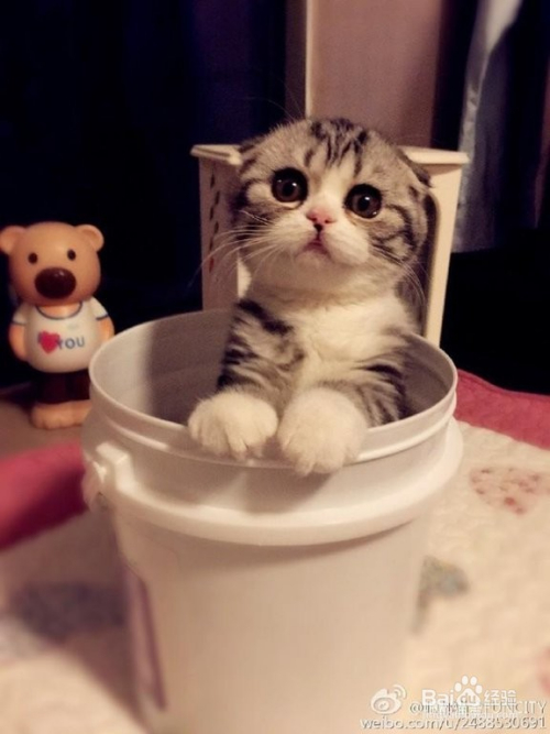 PS变换与再制技巧