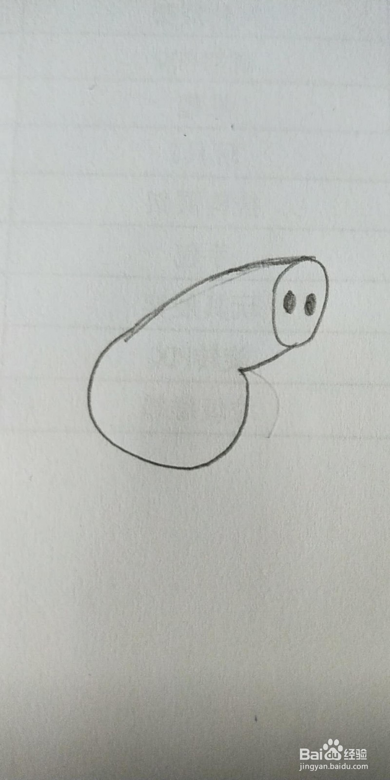 小猪佩奇简笔画教程