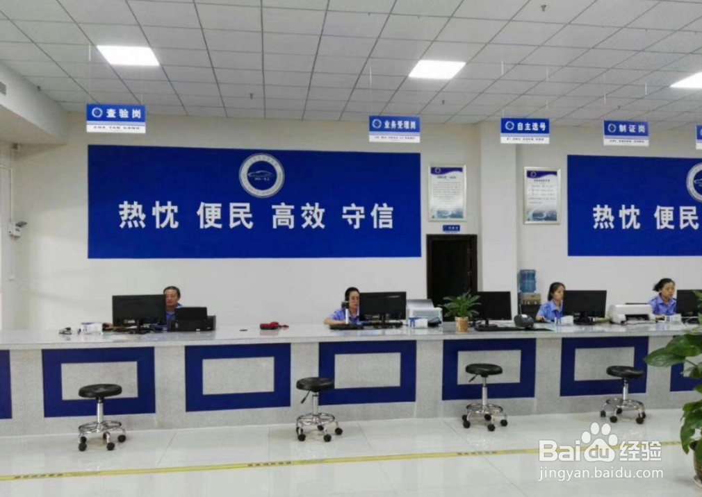 闯红灯几天可以查到违章信息