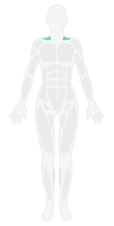 腰背抚摩_腰背深度按摩