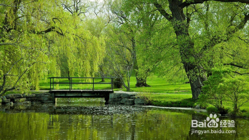 学PS多年，还不知道这40个PS小技巧