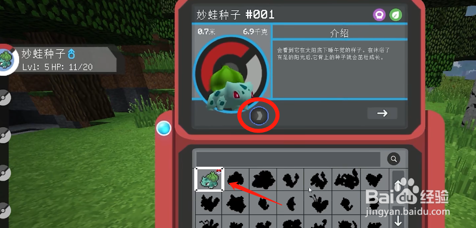 【我的世界宝可梦】怎么查看闪光精灵