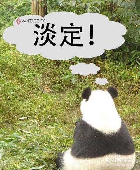提升外汇交易的基本技巧
