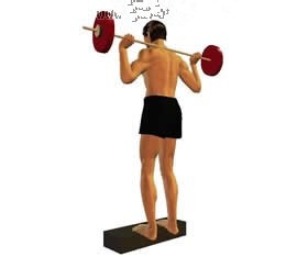 健美的饮食营养原则：[1]肌酸篇