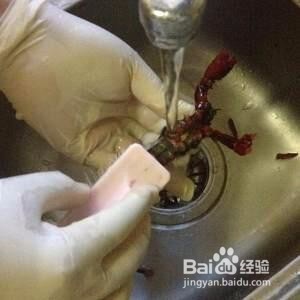 如何清洗小龙虾