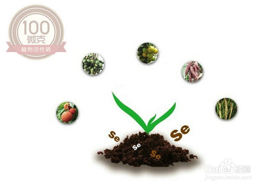 植物活性硒与其他补硒产品的区别