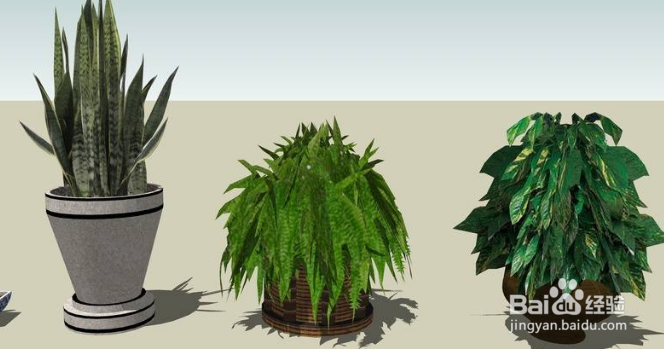 养花用什么花盆好?