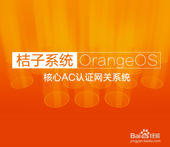 什么是桔子系统