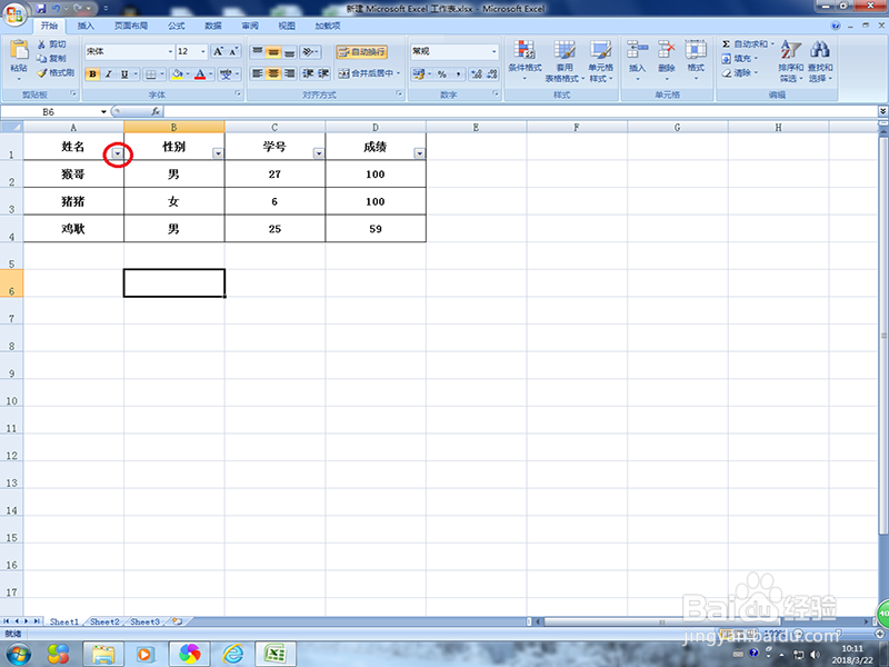 EXCEL怎么进行筛选