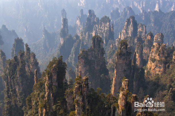 2019张家界旅游攻略