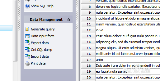 如何用Maestro导出视图记录到EXCEL2010格式文件