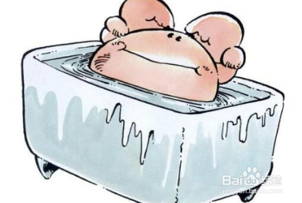 大闸蟹怎么保存