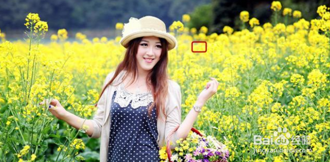 为什么拍出来的照片总是不清晰？