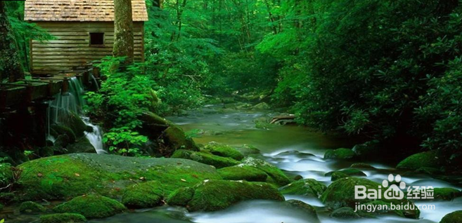 何谓开放教学观念