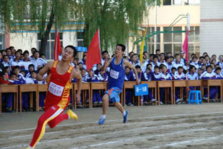 缓解学习压力的简单技巧