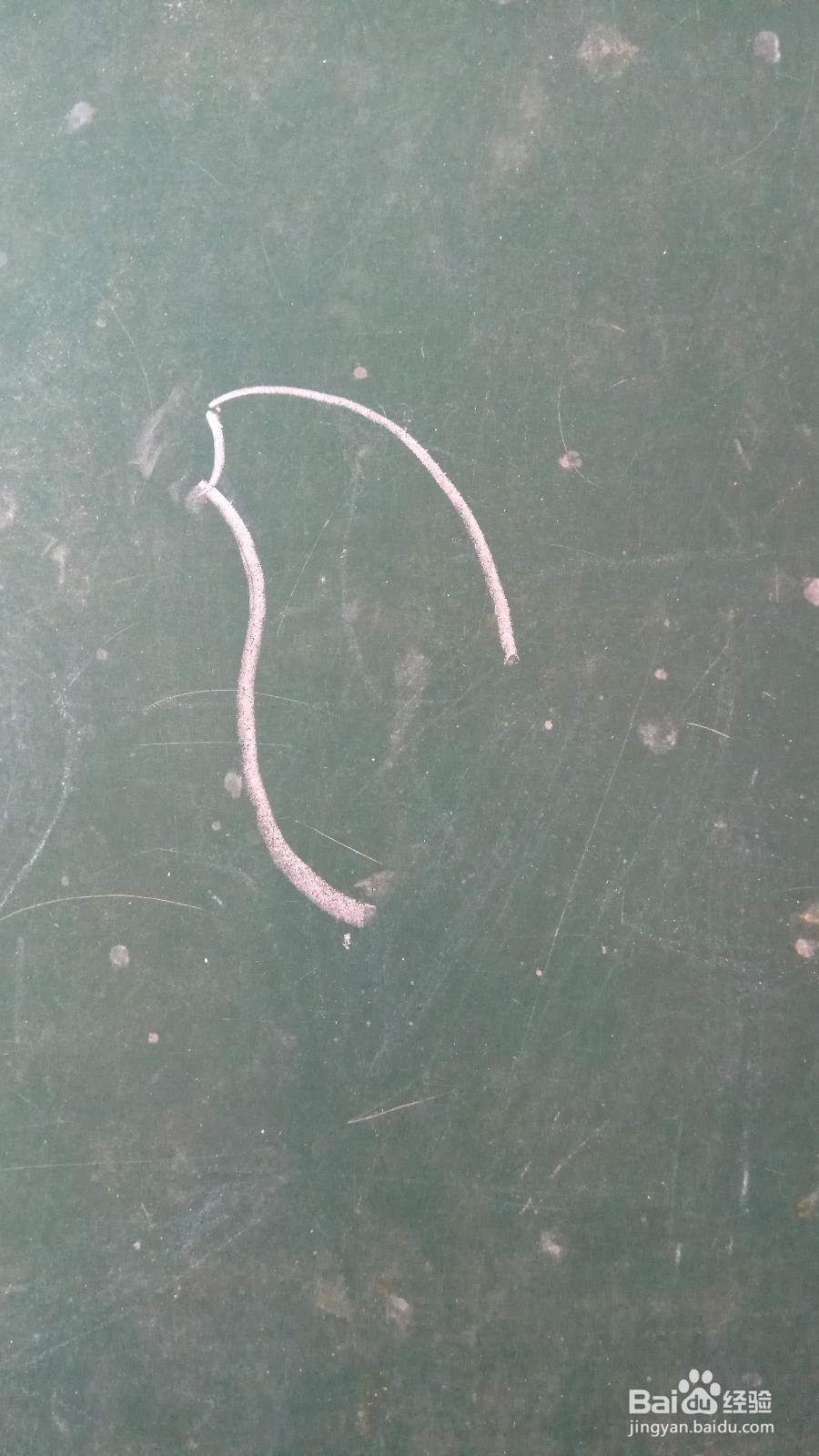 儿童简笔画鸽子的画法