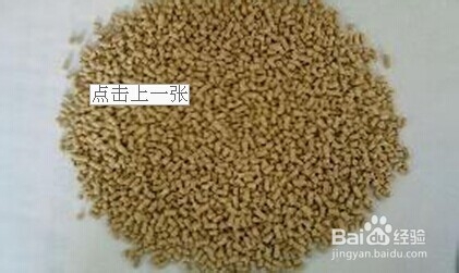 (二)水库垂钓技巧之饵料搭配与饵料制作