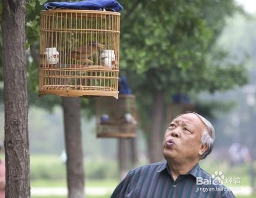 老年人业余休闲活动有哪些？