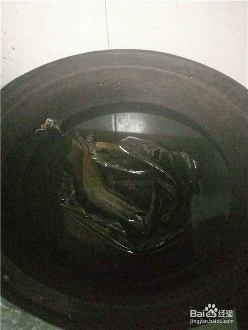 扇贝炖煮海带