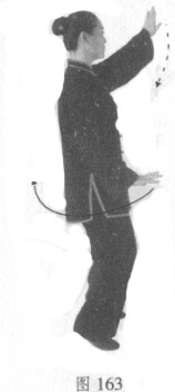 陈式太极白鹤亮翅图解