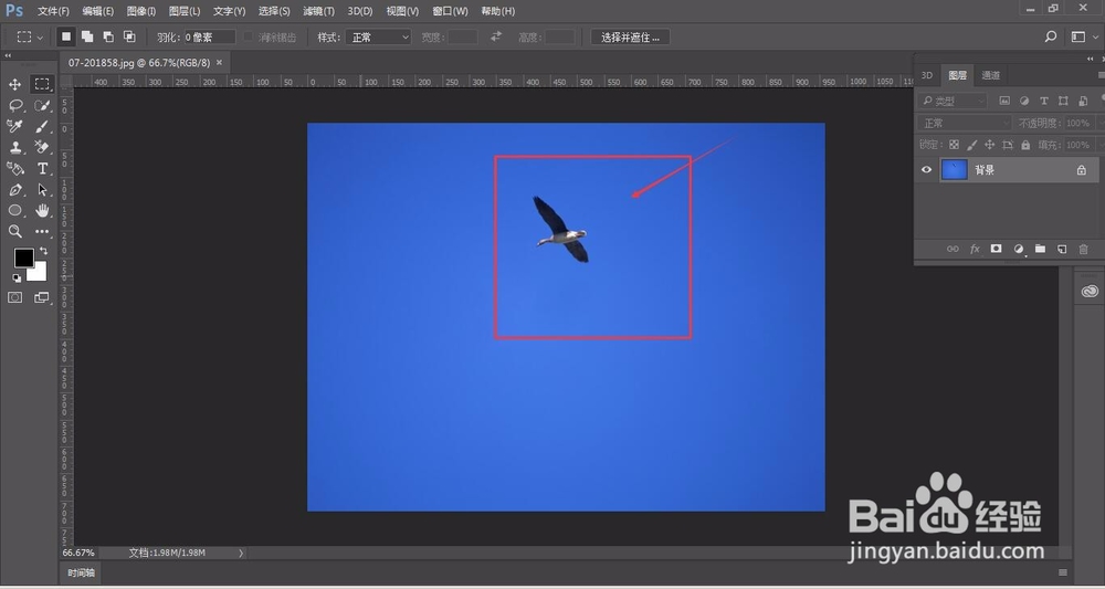 PS中仿制图章的使用技巧