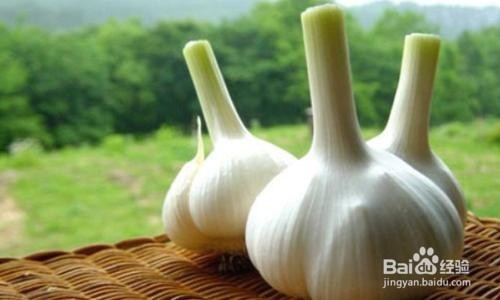 什么可以去痘，祛痘好方法
